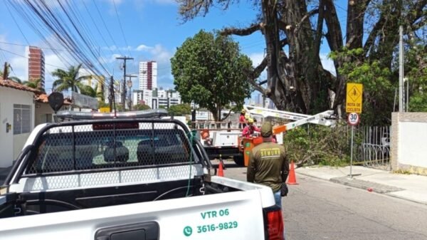 Defesa Civil esclarece situação do Baobá do Poeta após quedas parciais e reforça que decisão de manejo é da Semurb. Medidas seguem critérios técnicos.