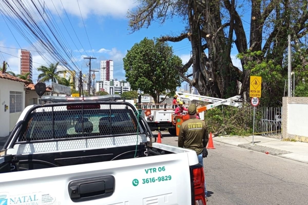 Defesa Civil esclarece situação do Baobá do Poeta após quedas parciais e reforça que decisão de manejo é da Semurb. Medidas seguem critérios técnicos.