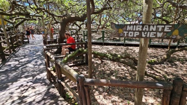 Idema divulga os horários de funcionamento do Parque das Dunas, Mata da Pipa e Cajueiro de Pirangi no Natal e Ano Novo.