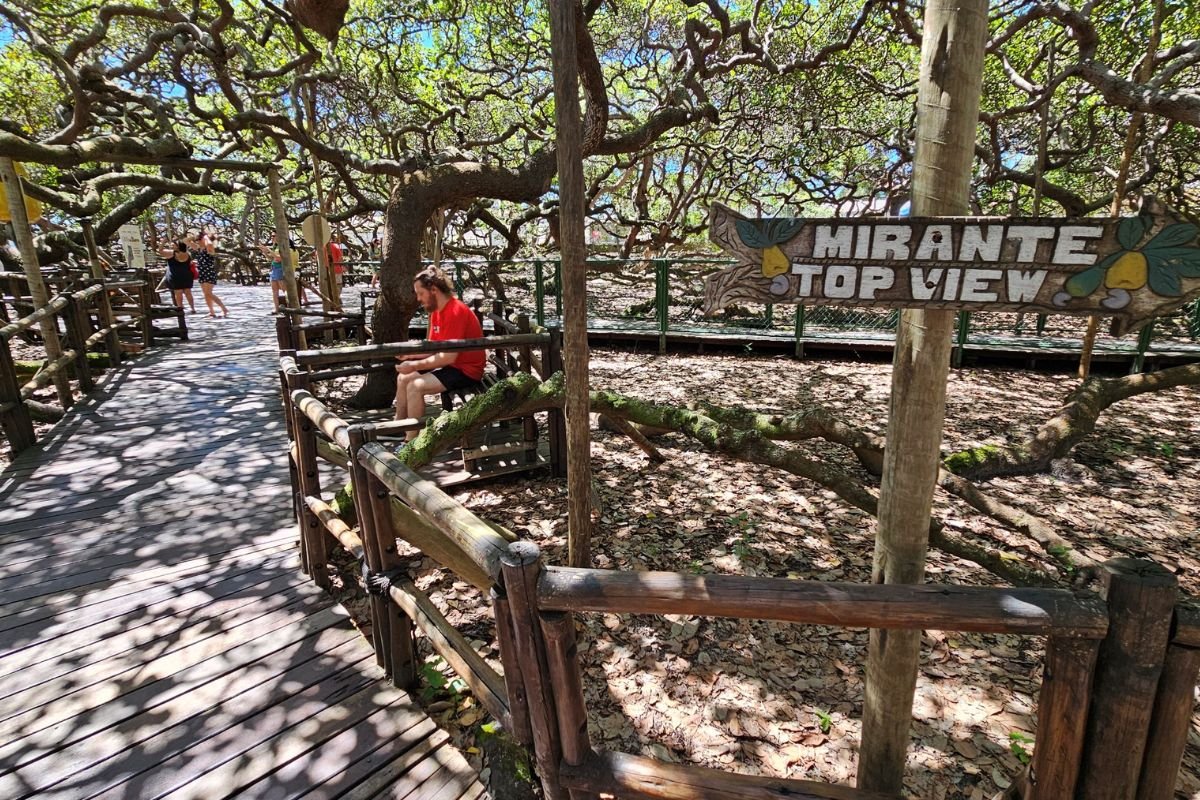 Idema divulga os horários de funcionamento do Parque das Dunas, Mata da Pipa e Cajueiro de Pirangi no Natal e Ano Novo.