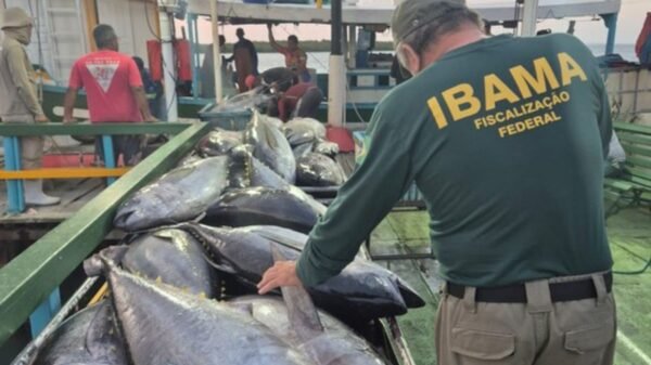 Operação Tuna do Ibama apreende 2,3 toneladas de pescado e aplica mais de R$ 122 mil em multas por pesca ilegal no RN.