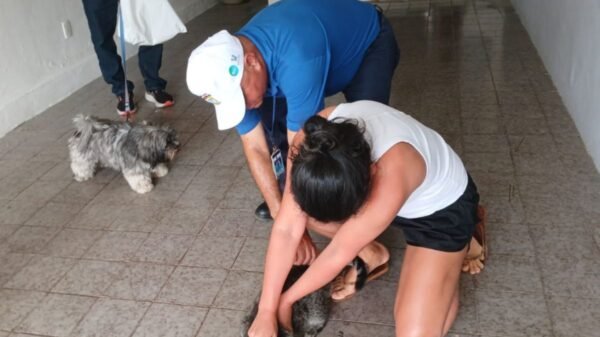 Natal faz bloqueio vacinal após morcegos positivos para raiva no Pitimbu. UVZ orienta população sobre cuidados e reforça vigilância.