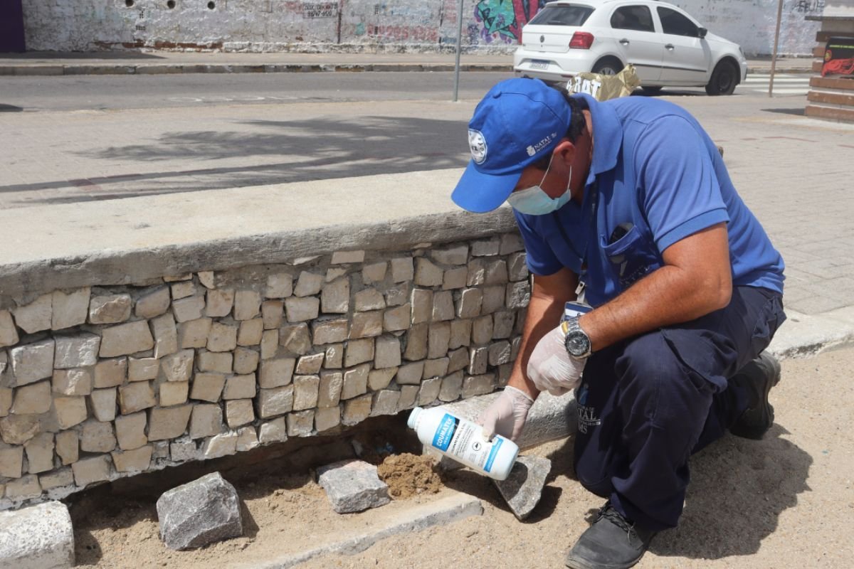 SMS inicia ação de desratização e controle de roedores na orla de Natal, começando pela Praia de Ponta Negra.
