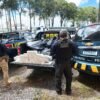 PRF e Receita apreendem 700 kg de maconha em caminhão na BR-101, em Goiana. Motorista disse que levaria a carga de SP para o RN.