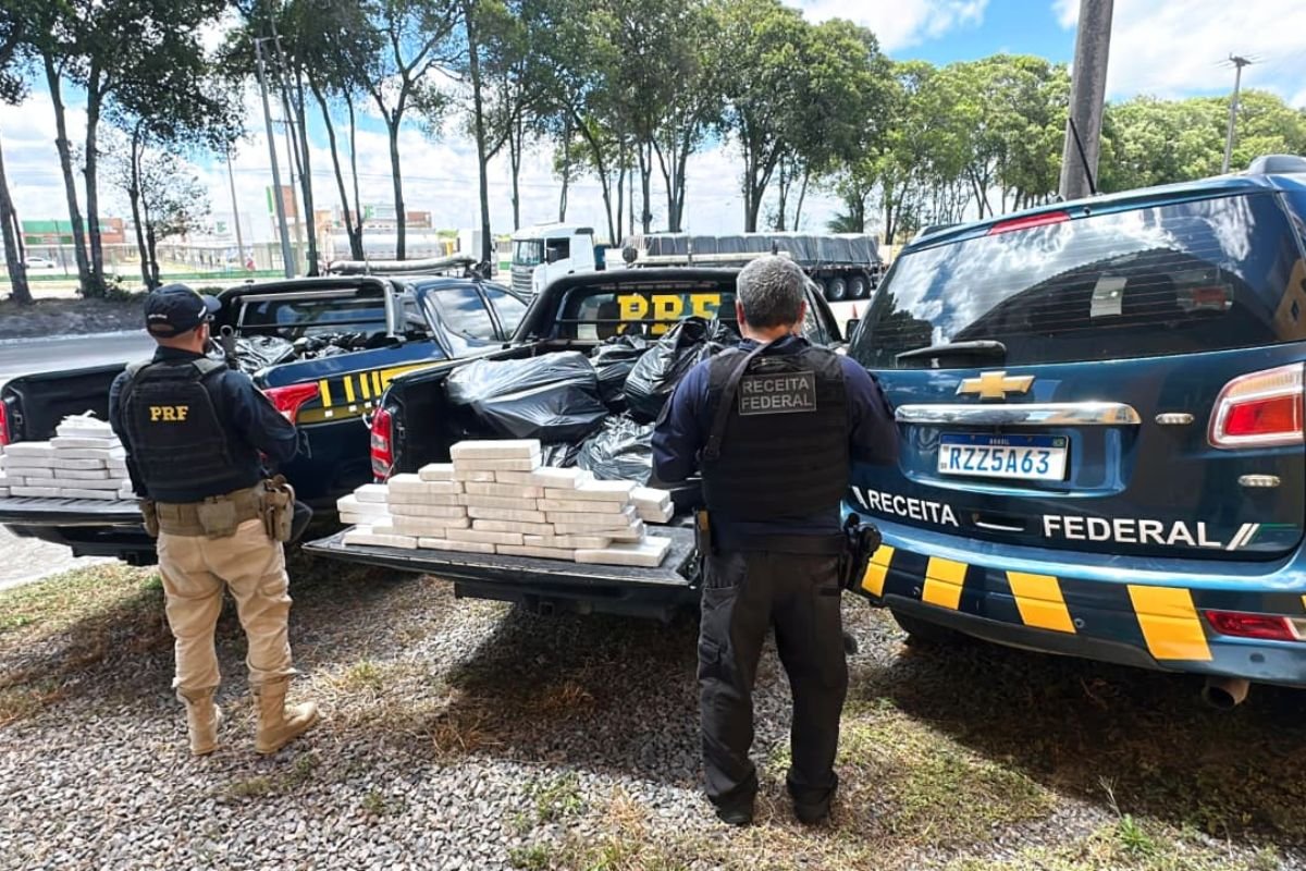 PRF e Receita apreendem 700 kg de maconha em caminhão na BR-101, em Goiana. Motorista disse que levaria a carga de SP para o RN.