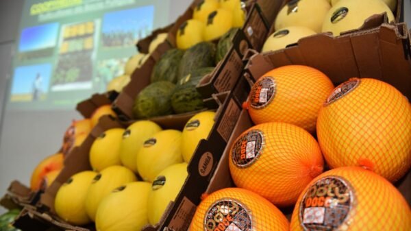 União Europeia segue como principal destino das exportações do RN; comércio ultrapassa US$ 275 milhões em 2025 e gera superávit de US$ 140 milhões.