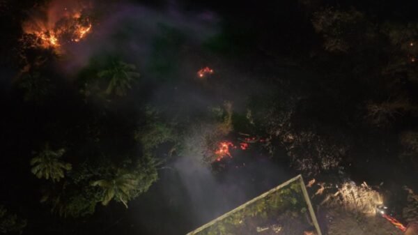 Bombeiros do RN atuam em incêndio florestal de grandes proporções em área de proteção ambiental na praia de Muriú; fogo foi controlado após mais de 14 horas.