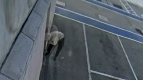 Suspeito de colocar fogo na Estátua da Liberdade da Havan em Natal é identificado pela polícia após análise de imagens de segurança.