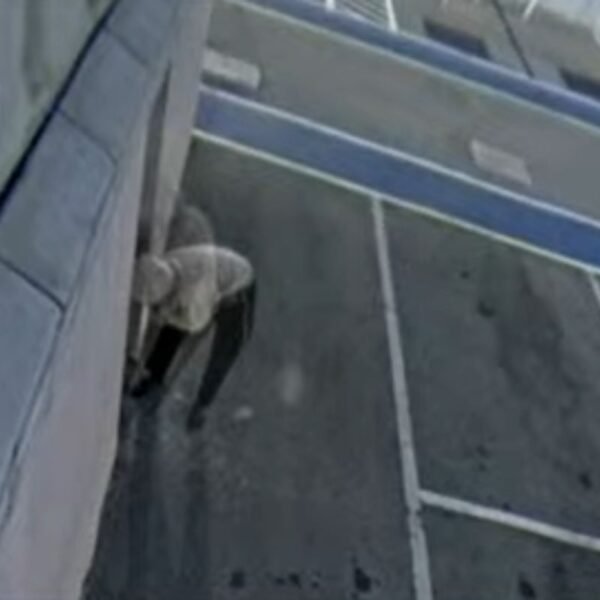 Suspeito de colocar fogo na Estátua da Liberdade da Havan em Natal é identificado pela polícia após análise de imagens de segurança.