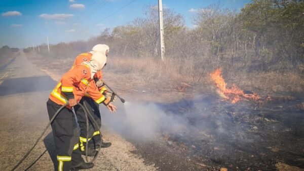 CBMRN registra aumento nas ocorrências de incêndio em vegetação na região de Mossoró