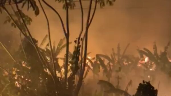 Bombeiros do RN combateram incêndio de grandes proporções em área de vegetação na BR-101, na entrada de Canguaretama, na noite de quarta-feira (31).
