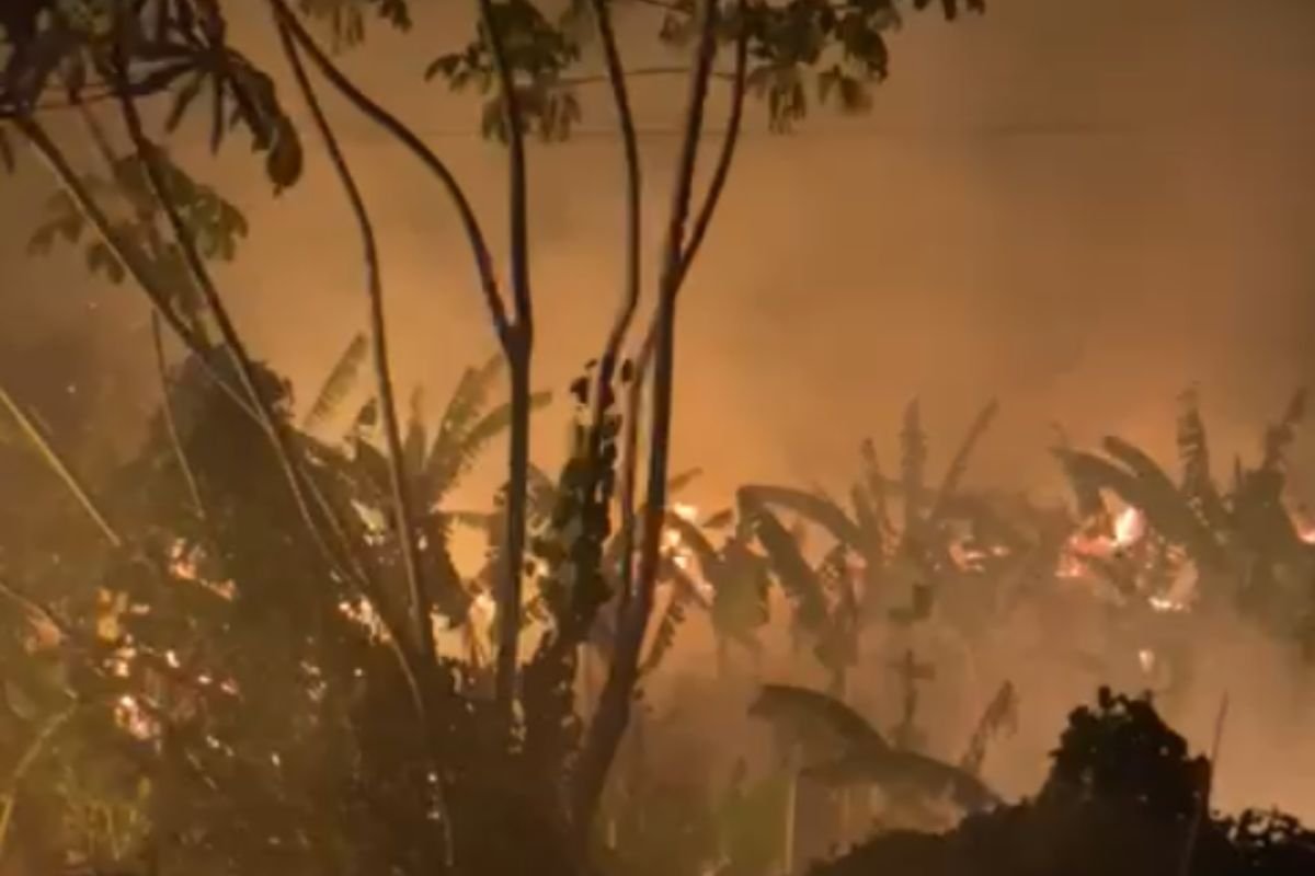 Bombeiros do RN combateram incêndio de grandes proporções em área de vegetação na BR-101, na entrada de Canguaretama, na noite de quarta-feira (31).