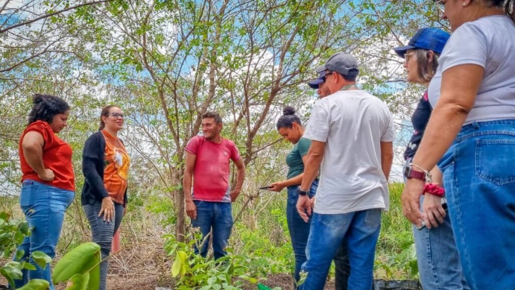 Governo do RN abre seleção para o Programa Gente do Campo com 102 vagas, bolsas de até R$ 2,5 mil e inscrições online até fevereiro.