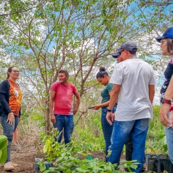 Governo do RN abre seleção para o Programa Gente do Campo com 102 vagas, bolsas de até R$ 2,5 mil e inscrições online até fevereiro.