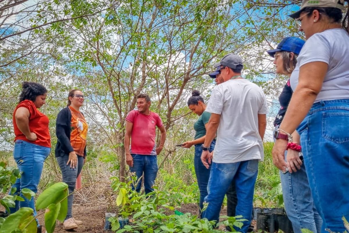 Governo do RN abre seleção para o Programa Gente do Campo com 102 vagas, bolsas de até R$ 2,5 mil e inscrições online até fevereiro.