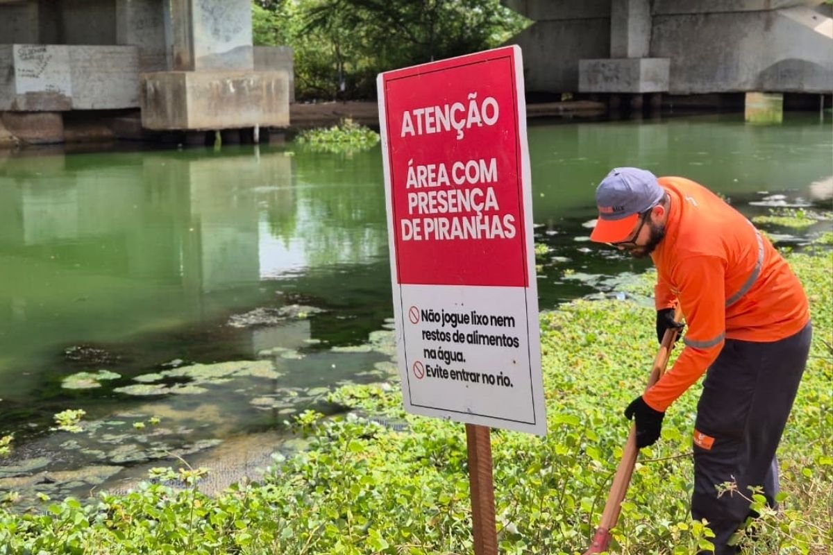 Prefeitura de Assú instala placas de alerta no Rio Açu após ataques de piranhas e reforça orientações de segurança à população.