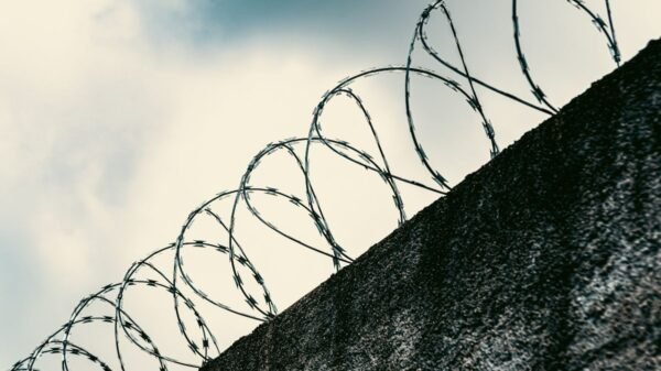 Projeto aprovado na Câmara cria cadastro nacional de presos e foragidos com acesso via gov.br e proteção de dados pessoais.