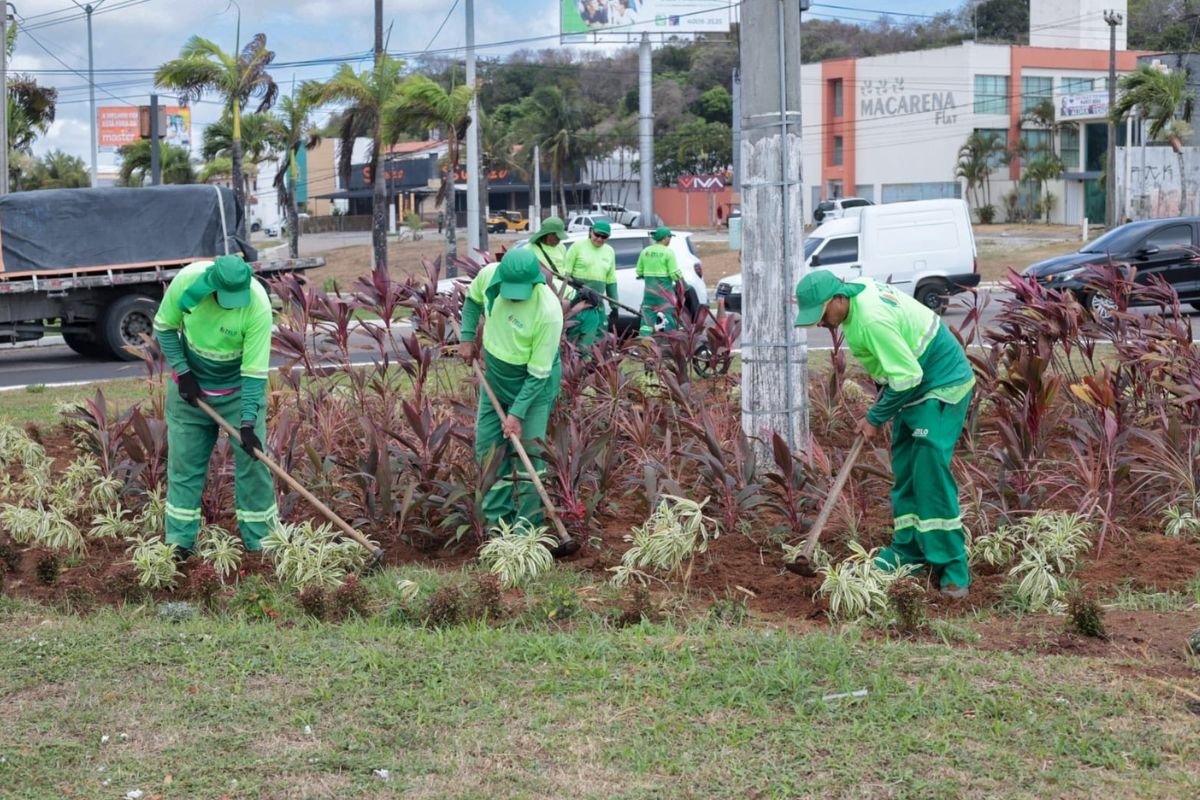 Prefeitura do Natal realiza paisagismo no canteiro central da Avenida Roberto Freire com o plantio de 645 mudas ornamentais.
