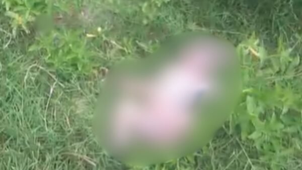 laudo pericial sobre bebê encontrada morta em Mossoró