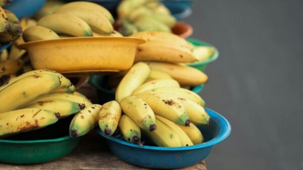 Frutas ficam mais baratas nas Ceasas. Banana lidera queda de preços, enquanto batata, tomate e alface registram alta, aponta Conab.