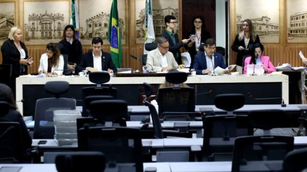 Projetos aprovados na CCJ de Natal tratam da proteção de crianças e adolescentes e da conscientização do consumidor em períodos de grandes promoções.