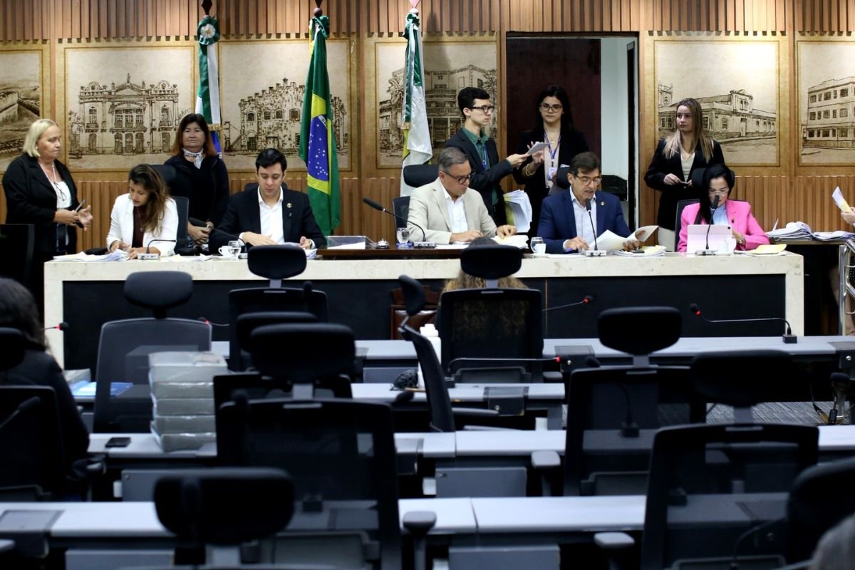 Projetos aprovados na CCJ de Natal tratam da proteção de crianças e adolescentes e da conscientização do consumidor em períodos de grandes promoções.