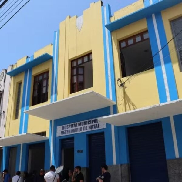Hospital Público Veterinário de Natal retoma atendimentos após gestão passar da Secretaria de Saúde para a Semurb.