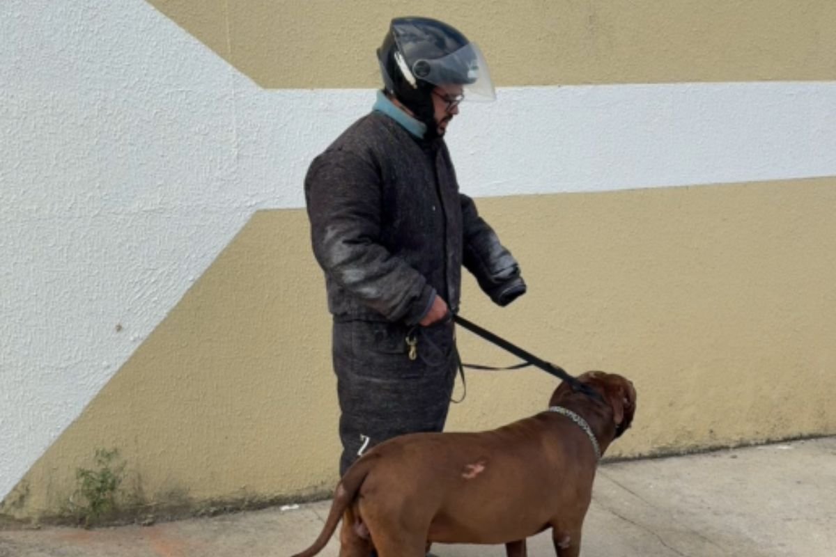 Pitbull é resgatado após ataque que terminou com a morte de um idoso em Extremoz, na Grande Natal.