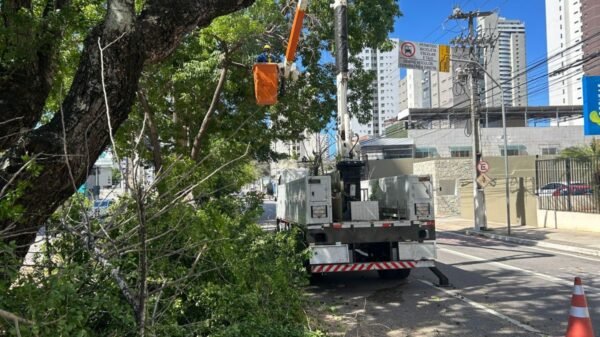 Prefeitura realiza poda de árvores para melhorar visibilidade de semáforos em corredores de mobilidade de Natal e aumentar a segurança no trânsito.