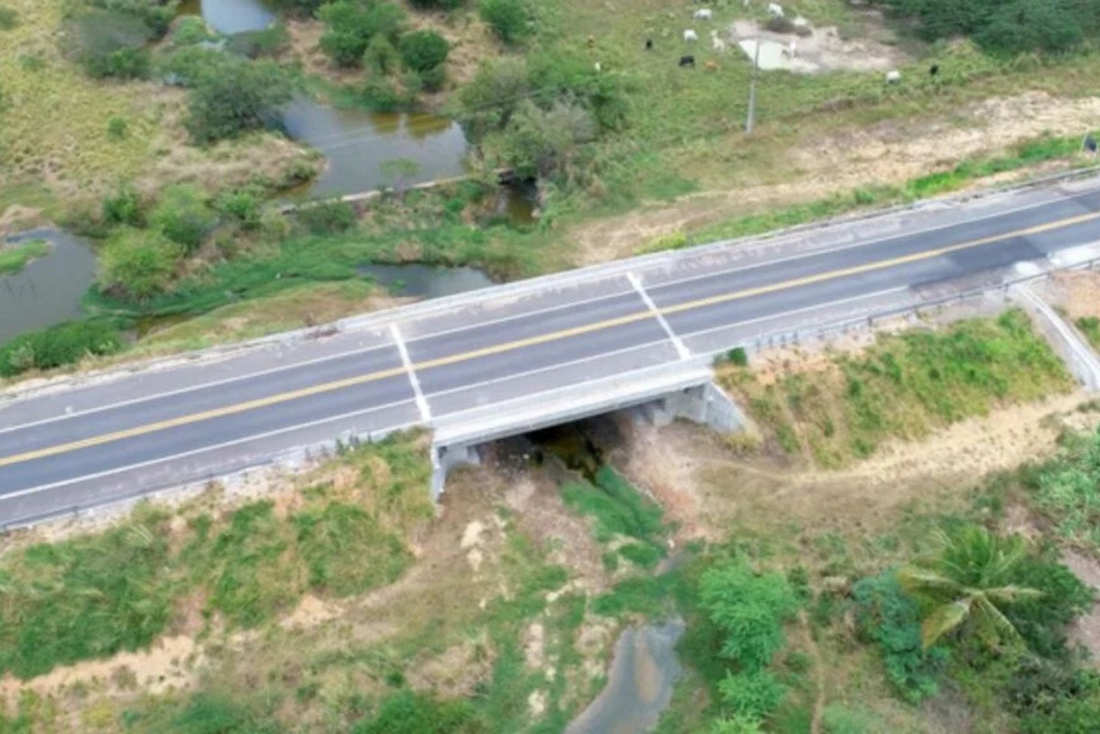 Estudos identificaram uma grande quantidade do metal precioso na área.