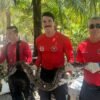 Bombeiros resgatam jiboia na zona norte de Natal