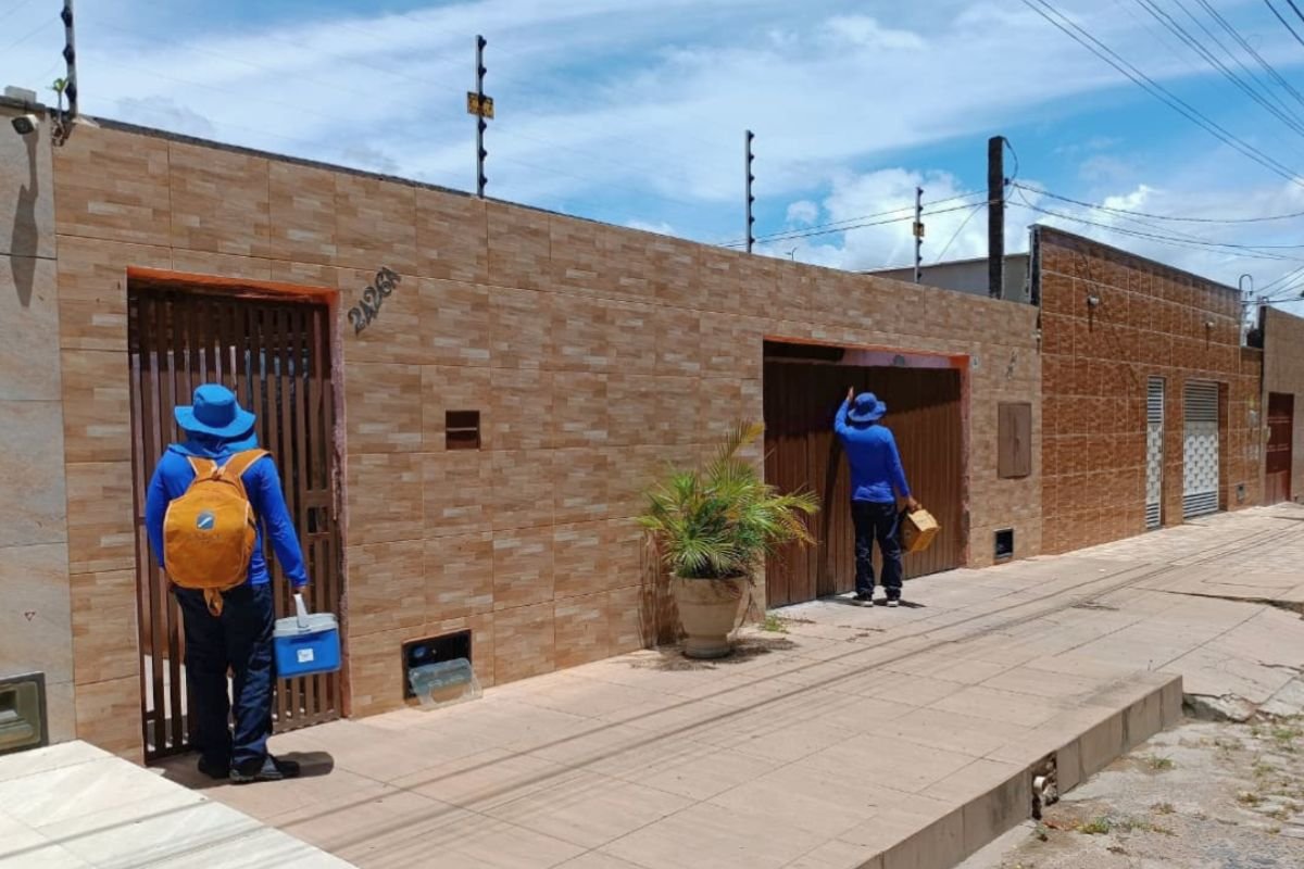 Natal intensifica vacinação após morcego com raiva no bairro Potengi. Ação ocorre na Zona Norte com imunização de cães e gatos.