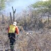 Corpo de Bombeiros alerta para aumento de 57% nos incêndios em vegetação no RN e reforça medidas de prevenção.