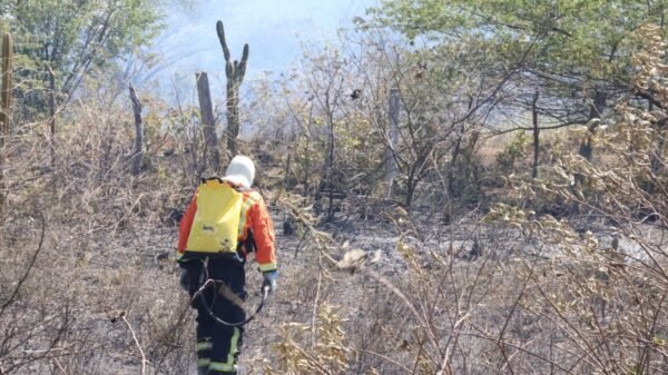 Corpo de Bombeiros alerta para aumento de 57% nos incêndios em vegetação no RN e reforça medidas de prevenção.