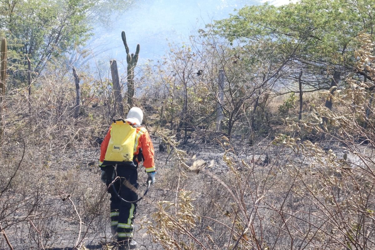 Corpo de Bombeiros alerta para aumento de 57% nos incêndios em vegetação no RN e reforça medidas de prevenção.