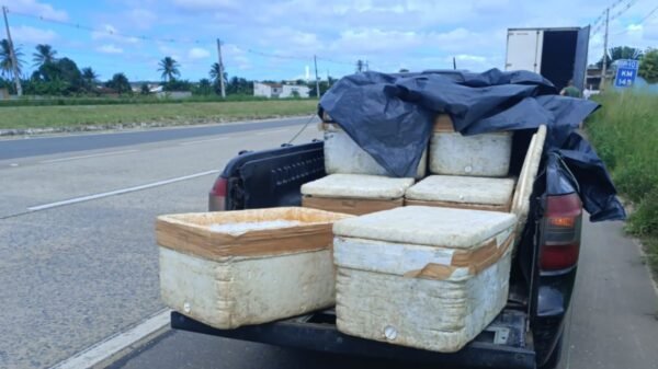 PRF apreende mais de 250 kg de pescado sem documentação em rodovias do RN. Cargas foram encaminhadas ao Ibama.